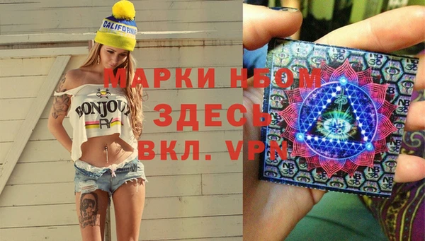 сатива Белокуриха