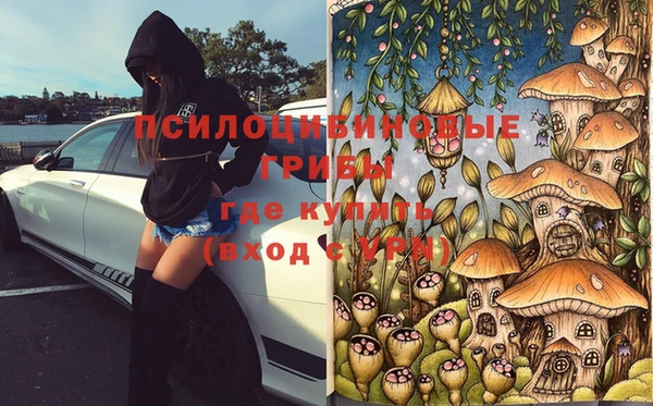 экстази Арсеньев