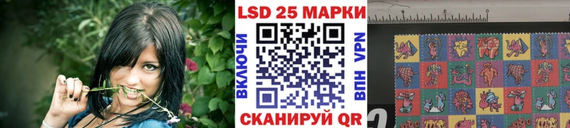 МЕГА вход  наркошоп  Петропавловск-Камчатский  Марки N-bome 1,5мг 